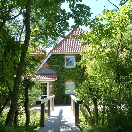Luna-wohnung-29 شقة Böhl